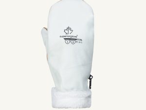 Winter Lined Mitt